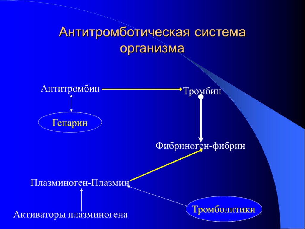 Антитромботическая система организма Антитромбин Тромбин Гепарин Фибриноген-фибрин Плазминоген-Плазмин Активаторы плазминогена Тромболитики